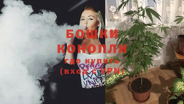 дурь Надым